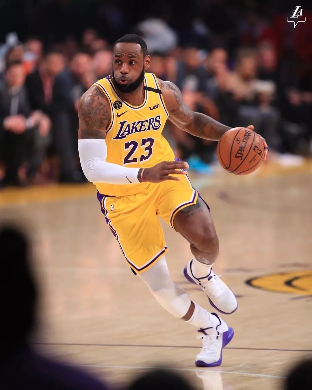 CBA常规赛第3轮最佳阵容出炉，胡金秋、贾明儒领衔（CBA常规赛第3轮最佳阵容揭晓，胡金秋与贾明儒领衔）